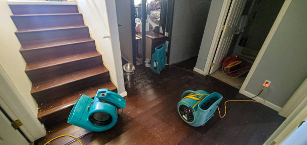 Best Flood damage cleanup  in Maan, ND