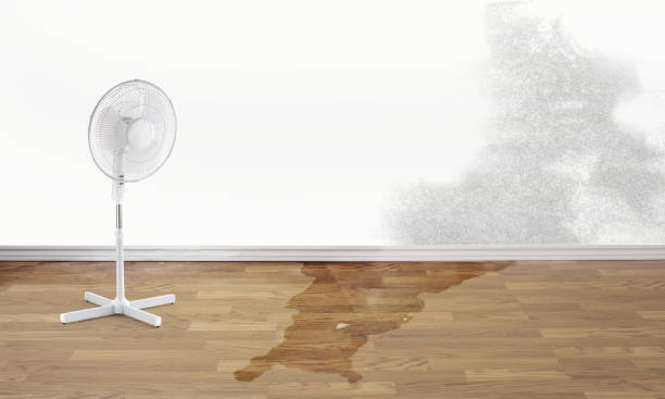 Best Sewage cleanup and water damage restoration  in Maan, ND
