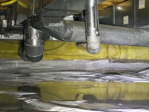 Best Water damage restoration near me  in Maan, ND