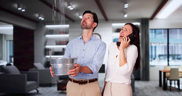 Best Basement water damage restoration  in Maan, ND